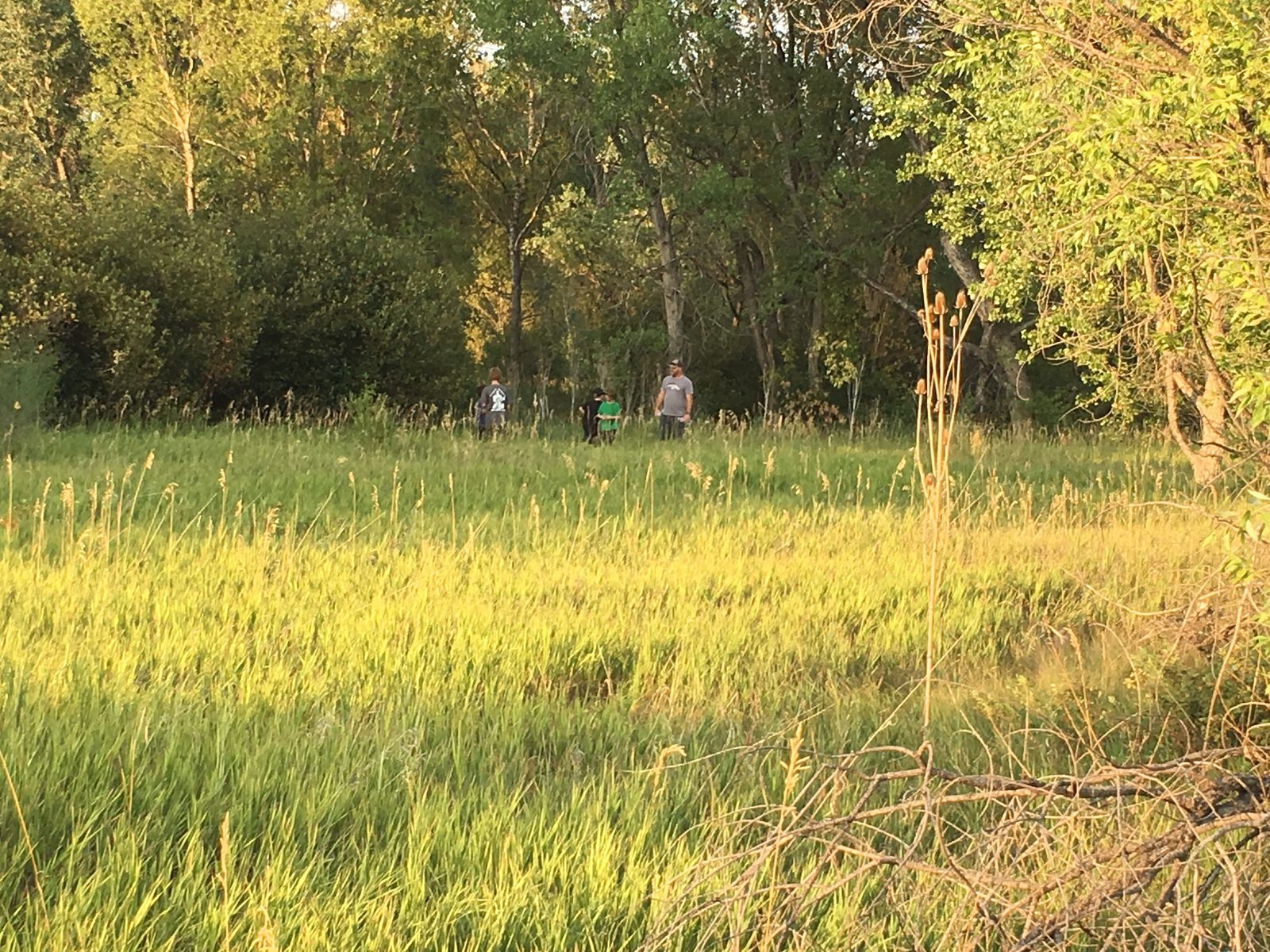 img_7024