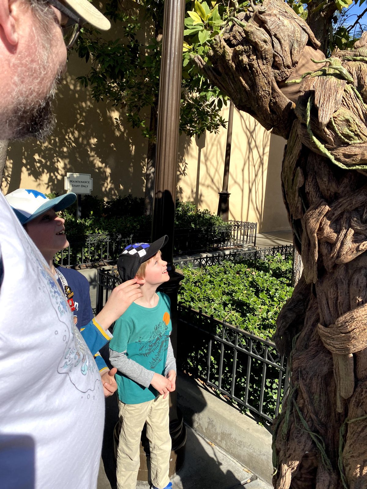 IMG_0545