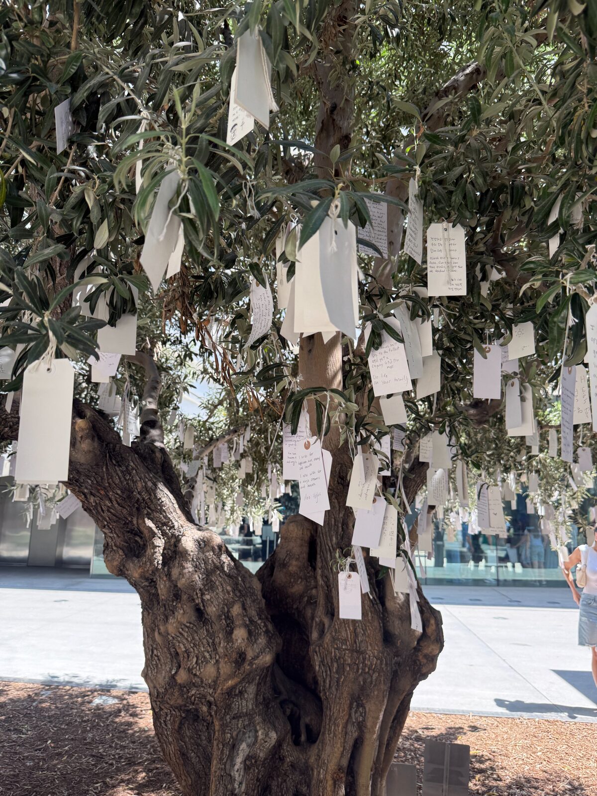 Wish Trees by Yoko Ono