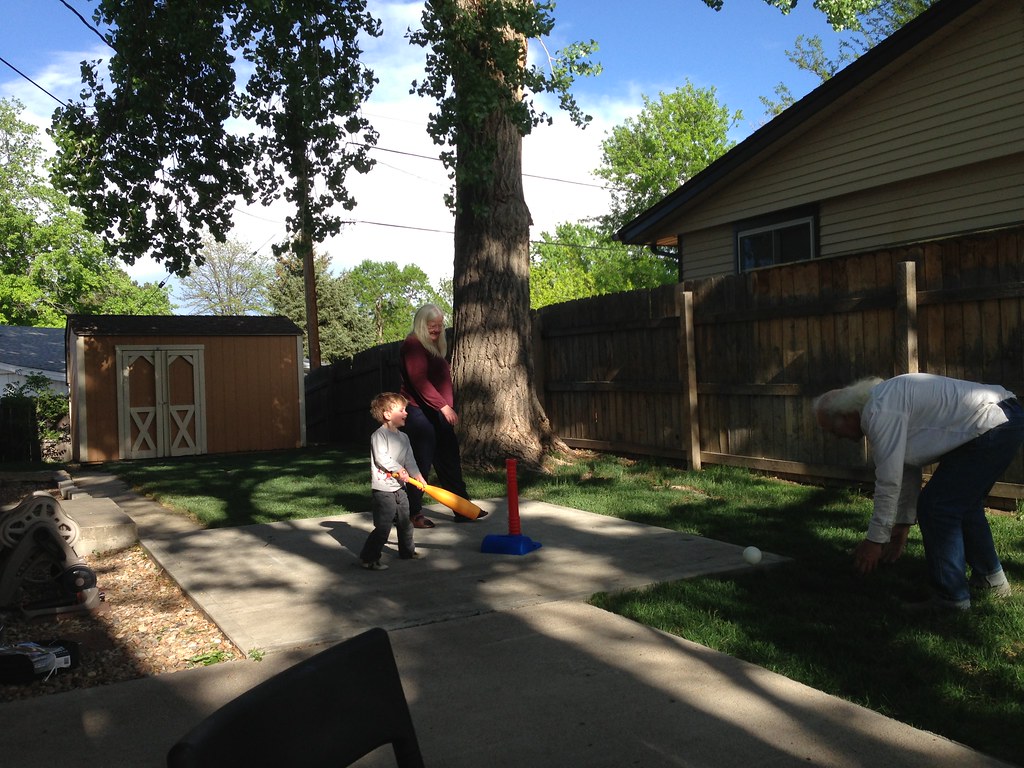 Lawn evening