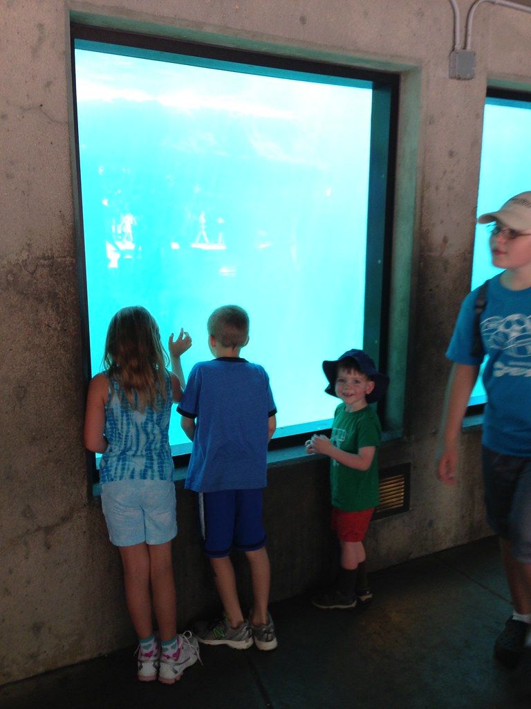 Hot day at the zoo
