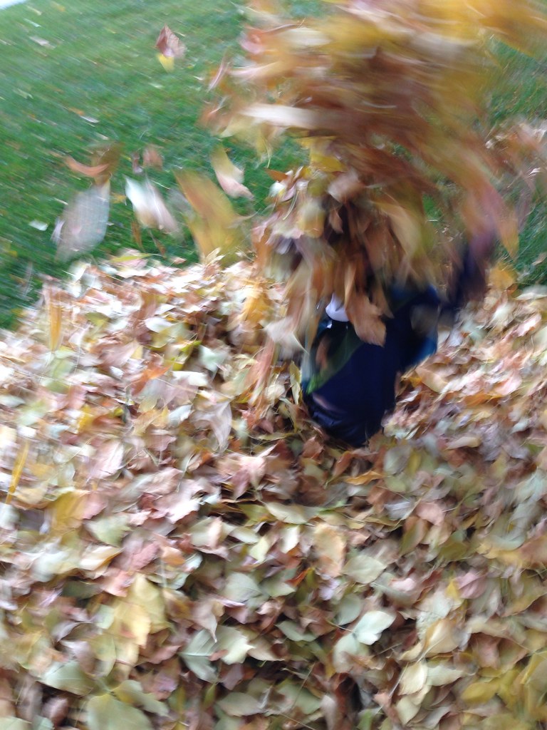 I love fall