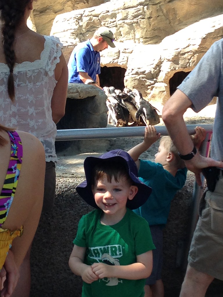 Hot day at the zoo