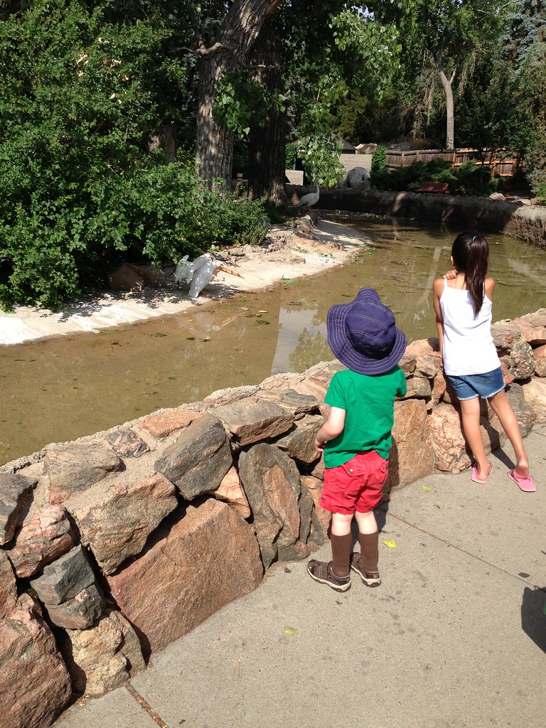 Hot day at the zoo