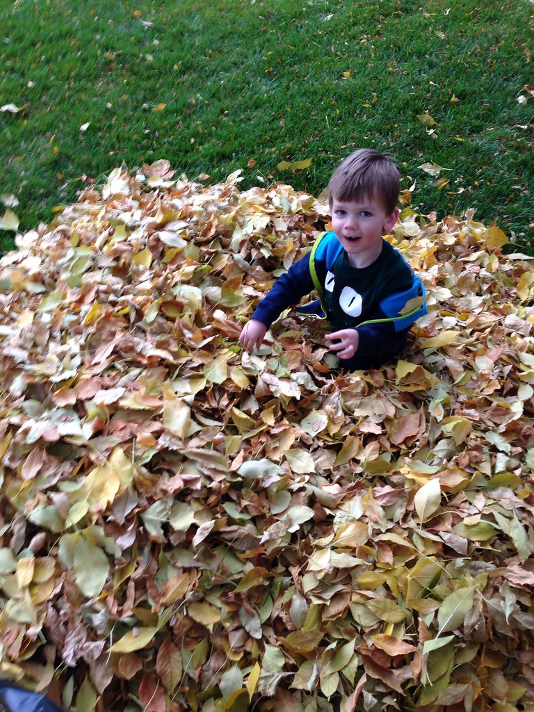 I love fall