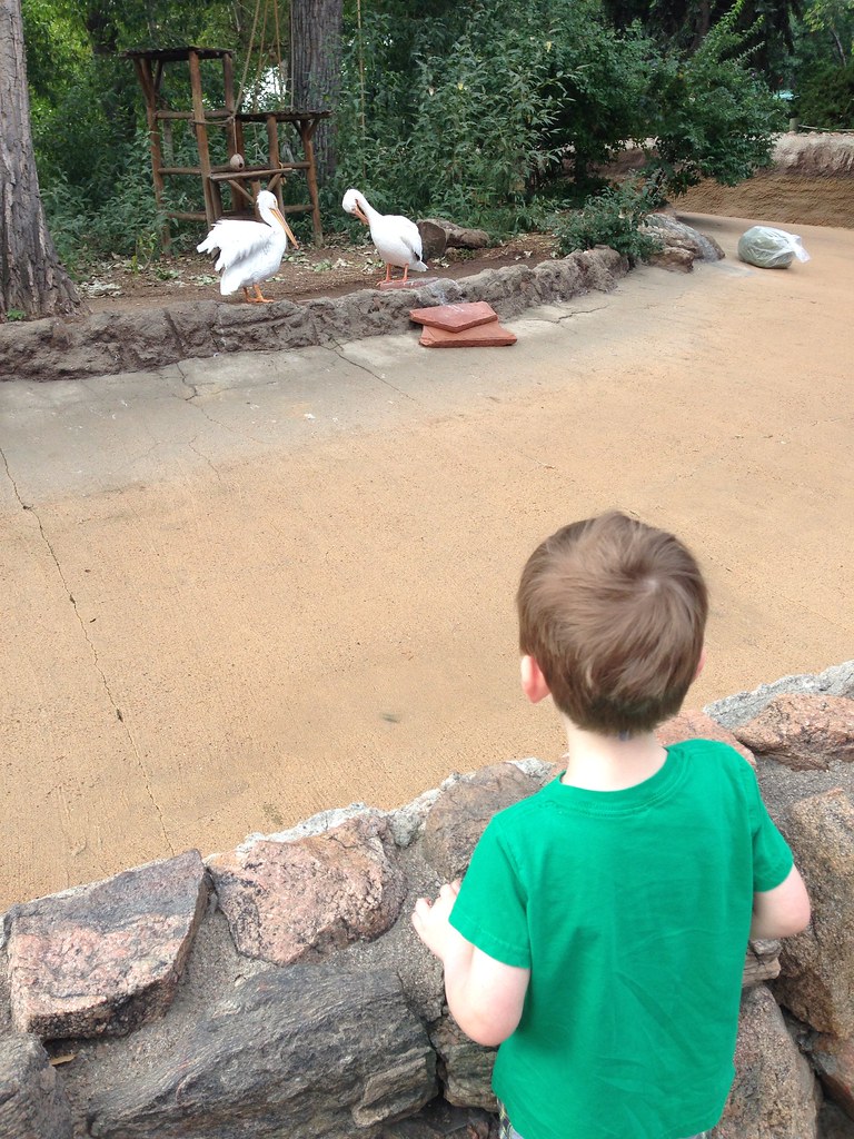 Denver zoo at 39 1/2 weeks