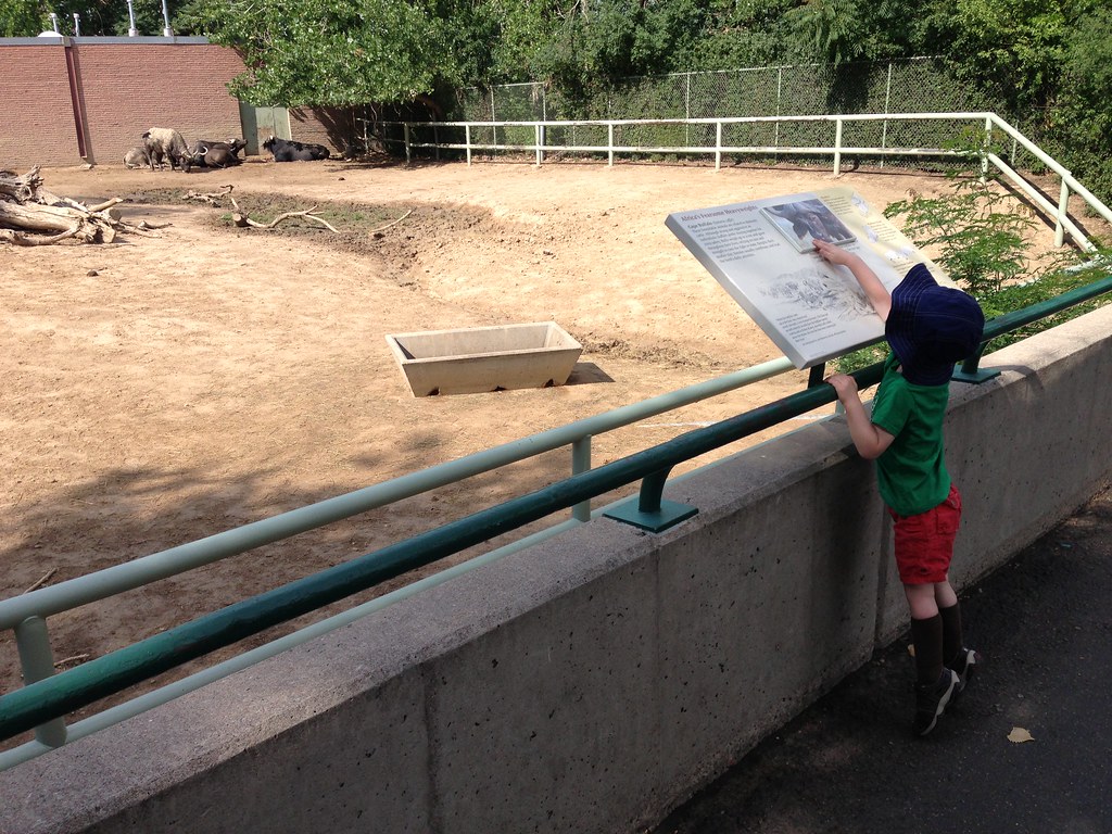 Hot day at the zoo