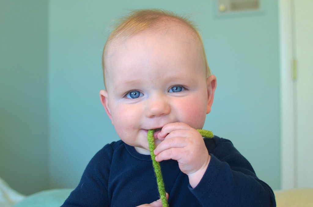 Sam is 8 months old