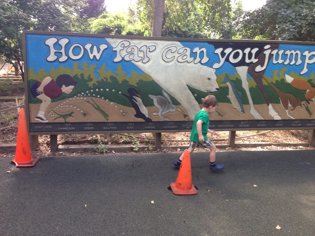 Denver zoo at 39 1/2 weeks