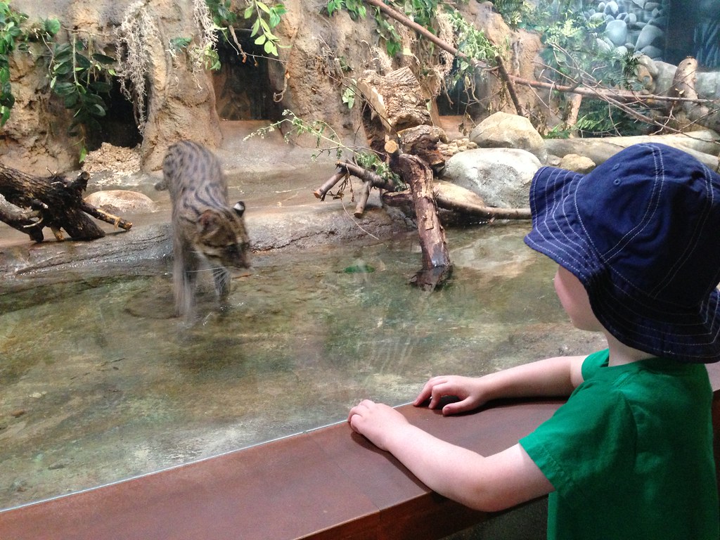 Hot day at the zoo