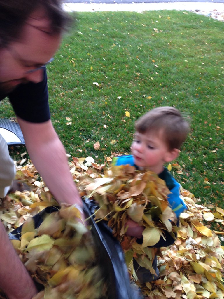 I love fall