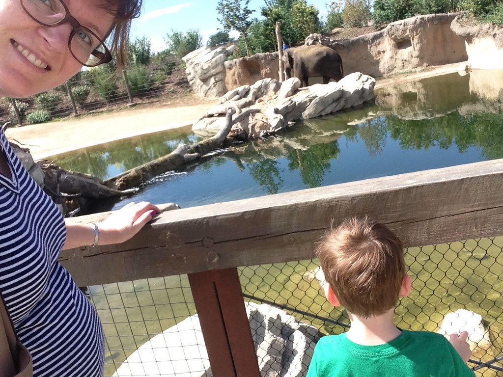Denver zoo at 39 1/2 weeks