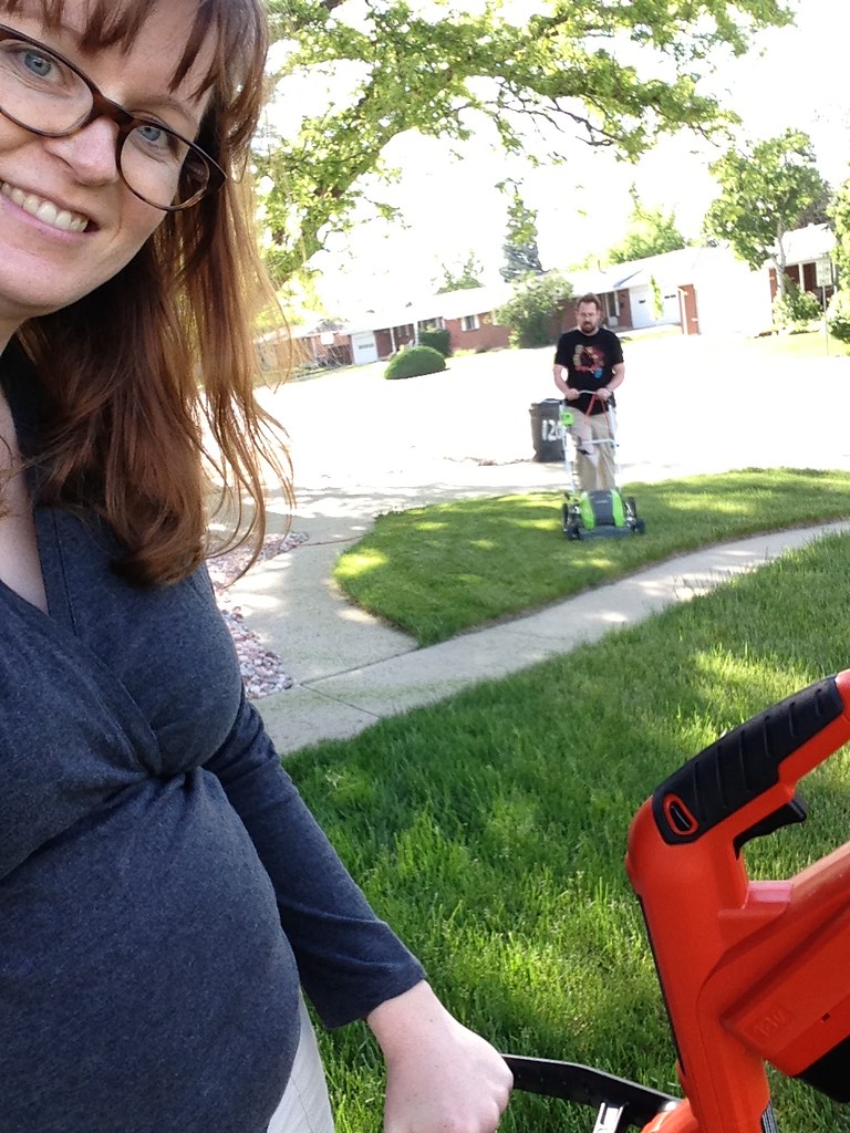 Lawn evening