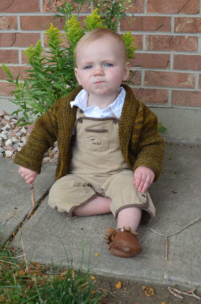 Derpy Hobbit