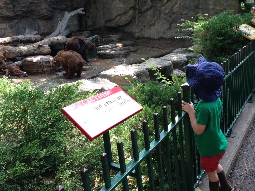 Hot day at the zoo