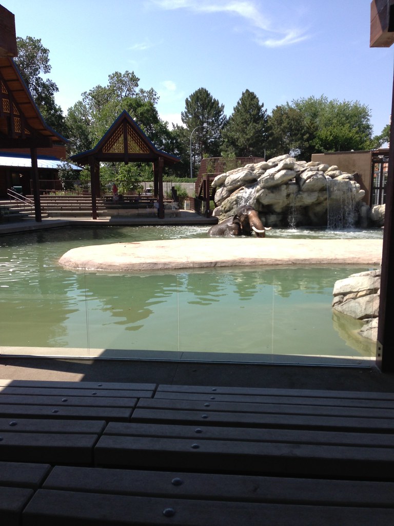 Hot day at the zoo