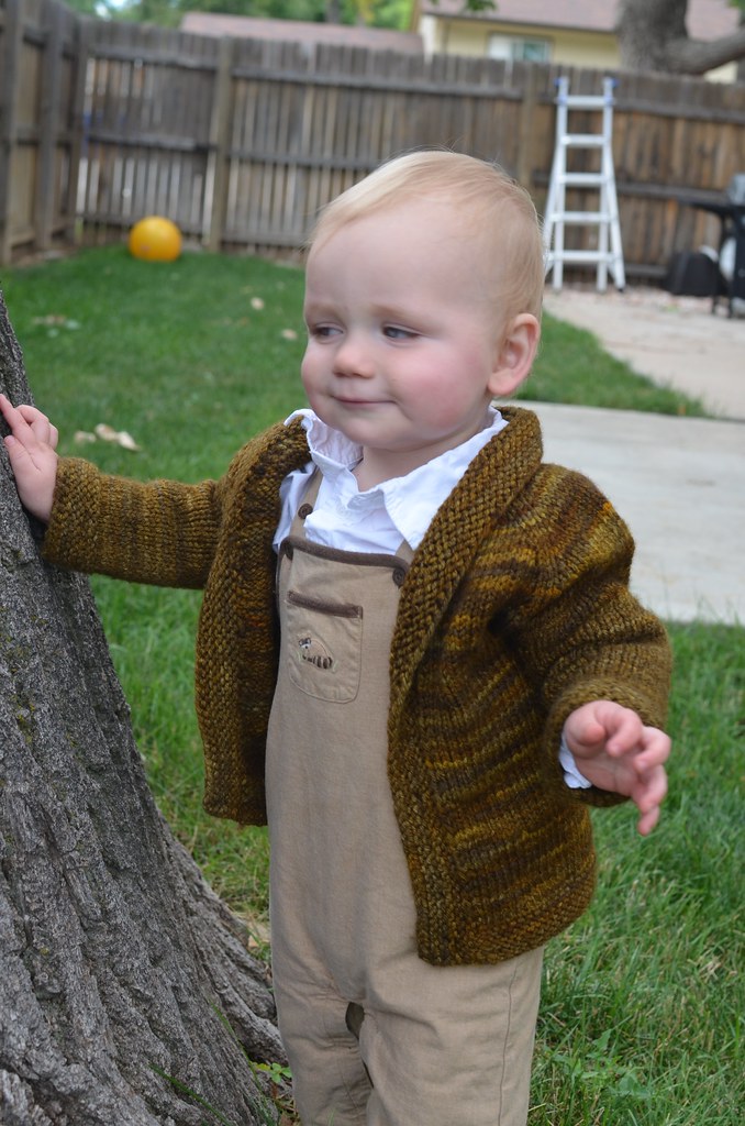 Derpy Hobbit