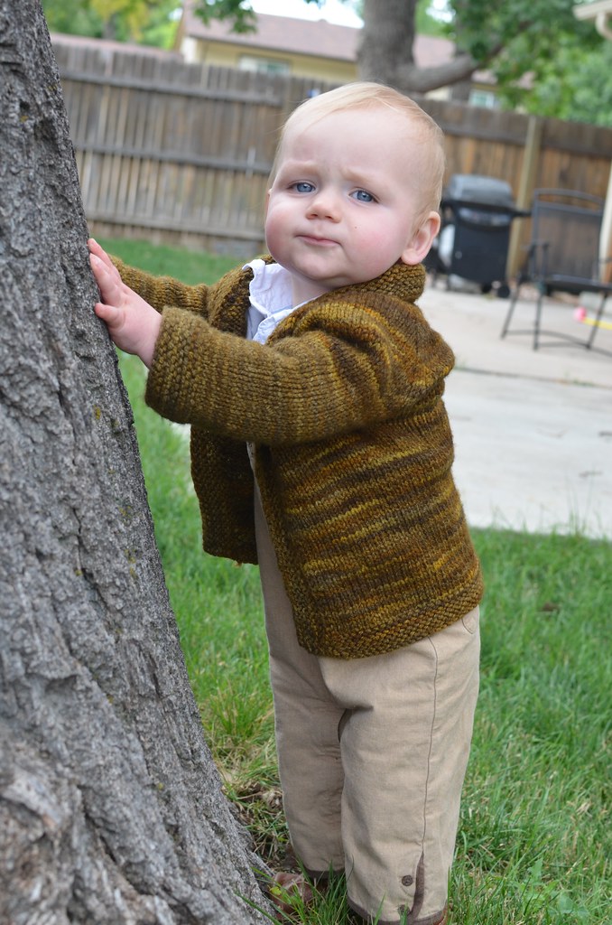 Derpy Hobbit