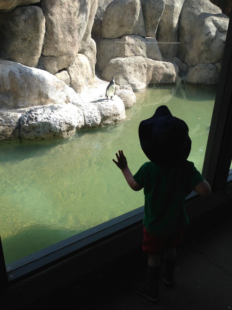 Hot day at the zoo