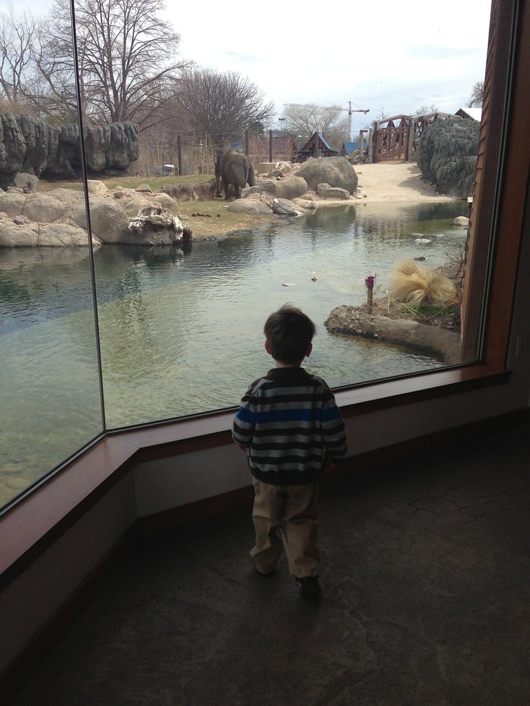 Denver Zoo