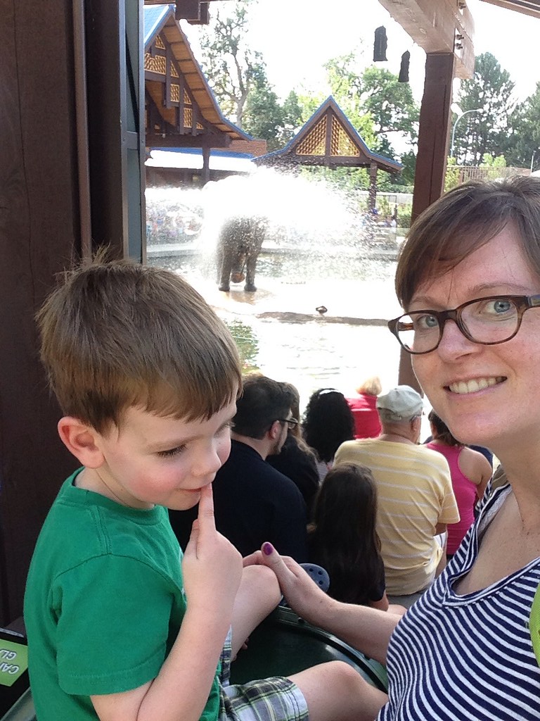 Denver zoo at 39 1/2 weeks