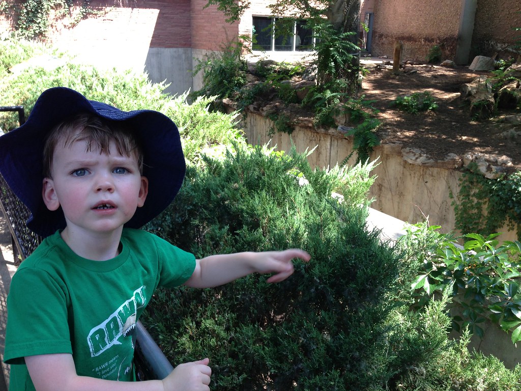 Hot day at the zoo